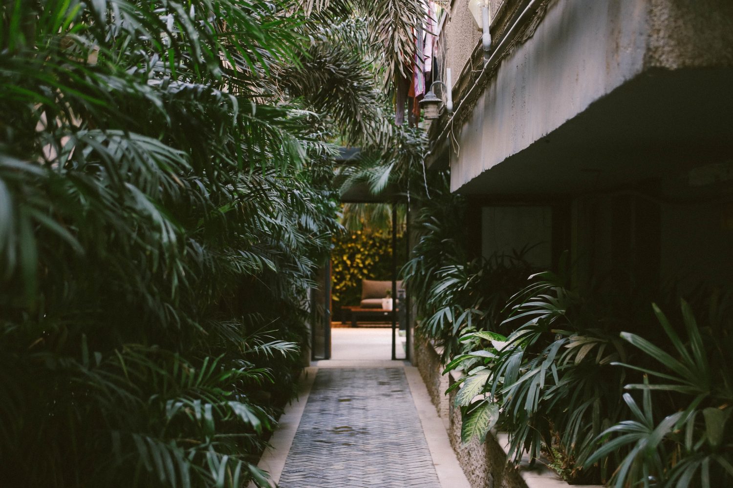 Planten passende bij Veranda inrichting