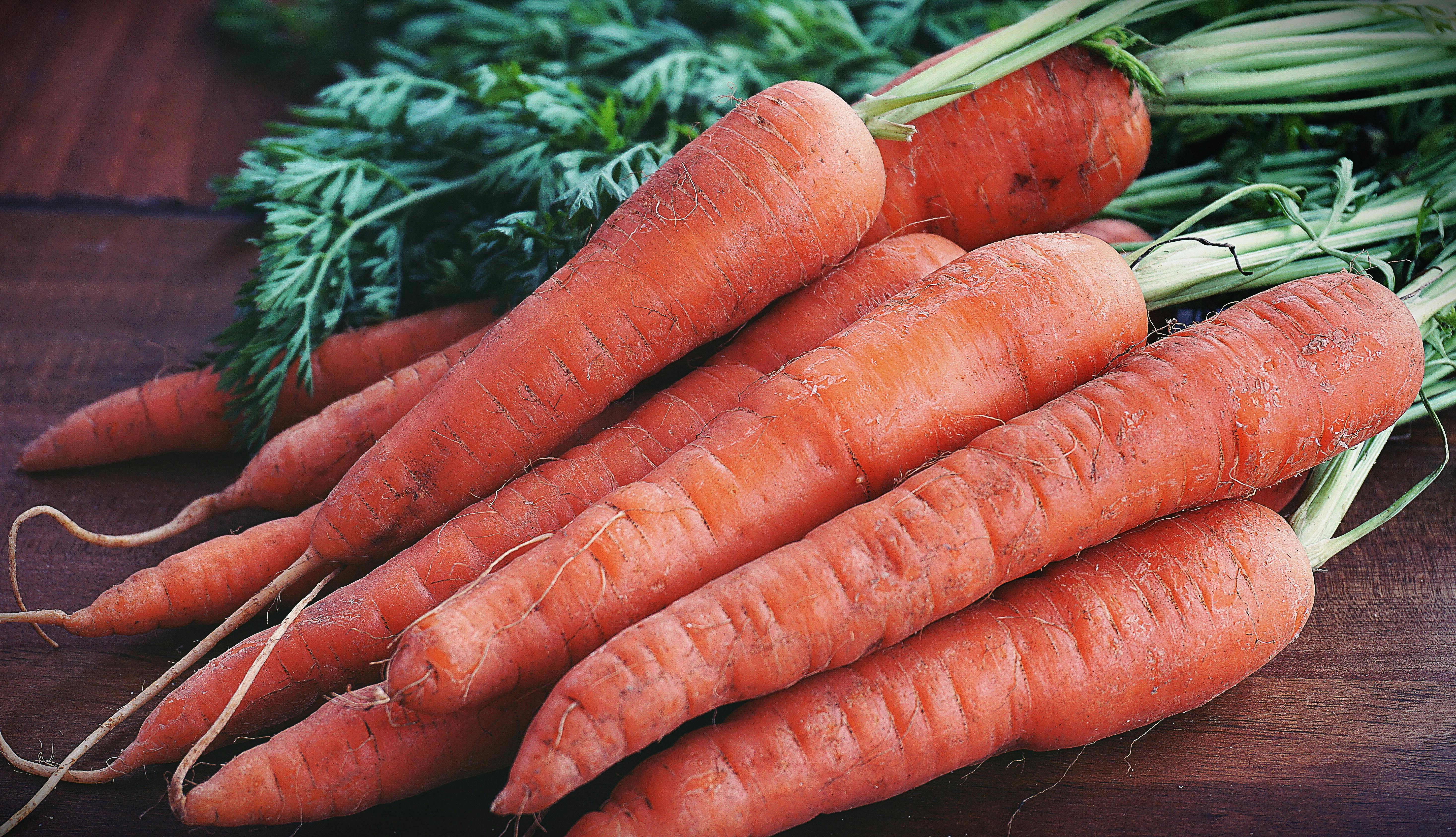 Moestuin aanleggen, wortels